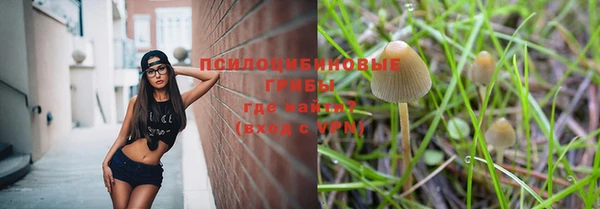дурь Новокубанск