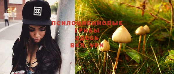 дурь Новокубанск