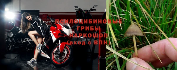 дурь Новокубанск