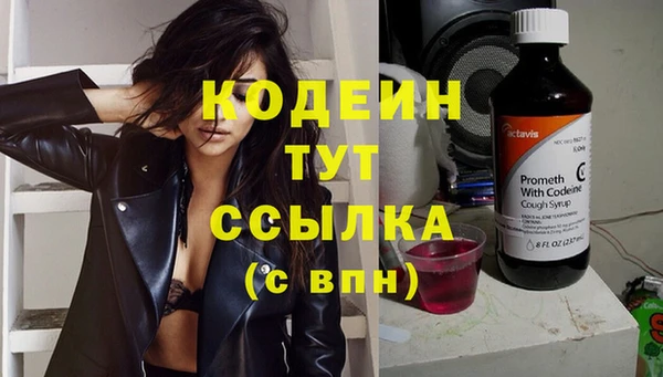 гидра Бикин