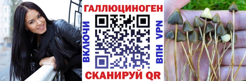 Галлюциногенные грибы мухоморы  цена   Павловский Посад 