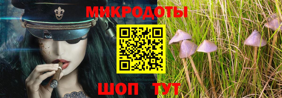 Псилоцибиновые грибы Psilocybe  Вход с VPN  Павловский Посад 