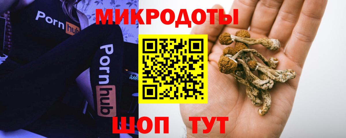 Галлюциногенные грибы Magic Shrooms Павловский Посад